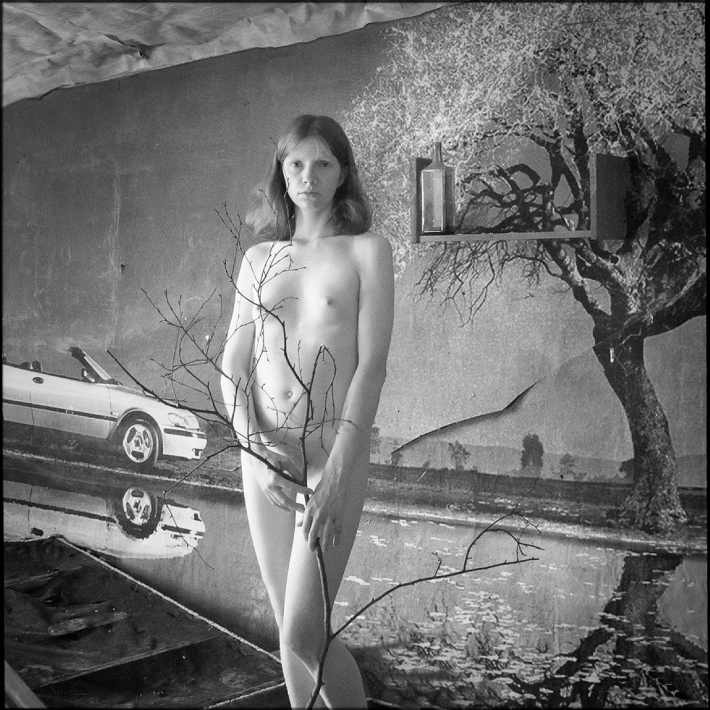 Дерево пейзаж