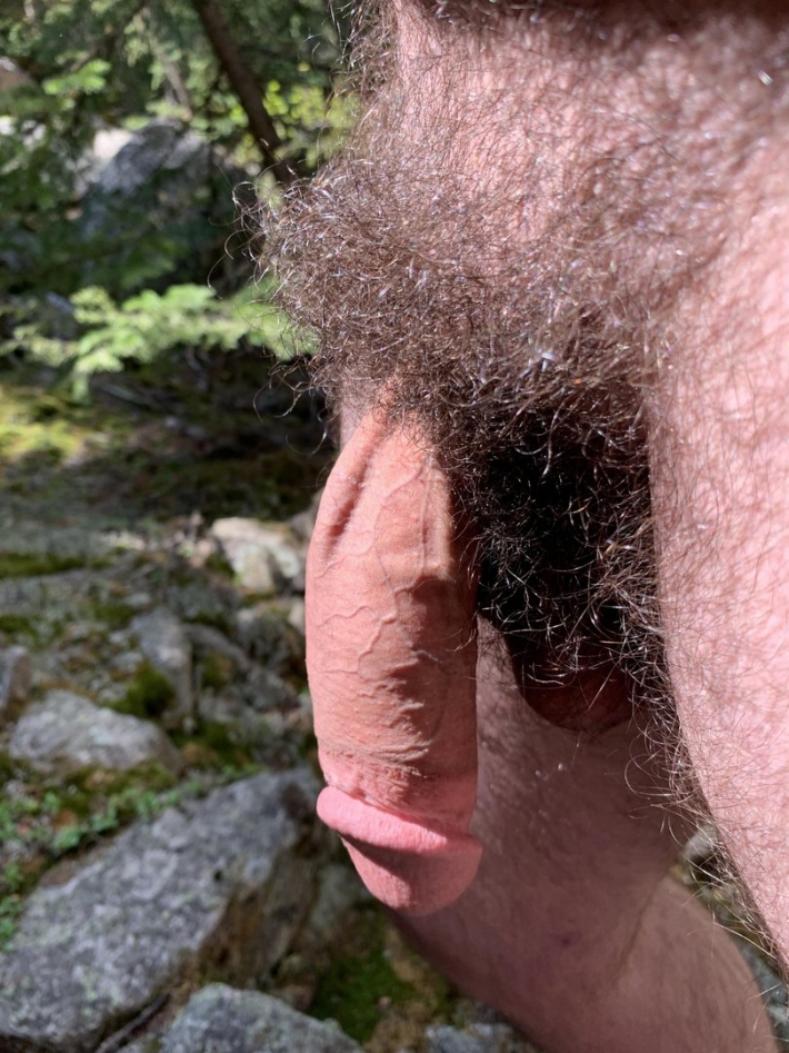 Заросший член