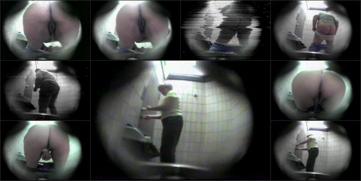 Toilet hidden cam