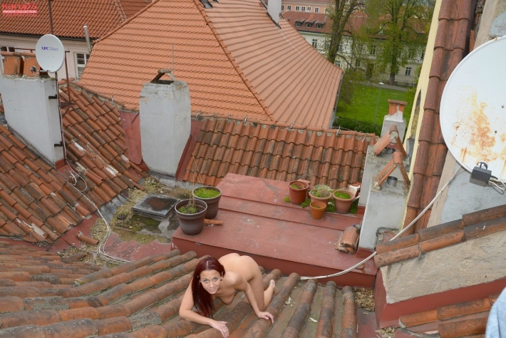 Черепица на крыше