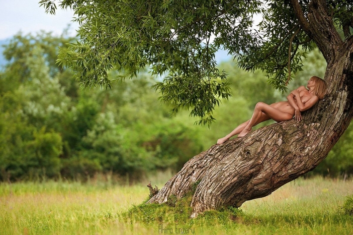 Девушка под деревом