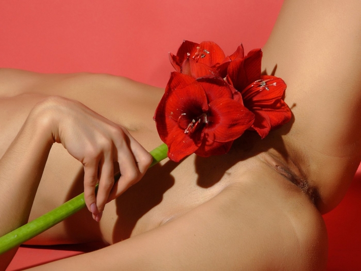 Гиппеаструм амариллис